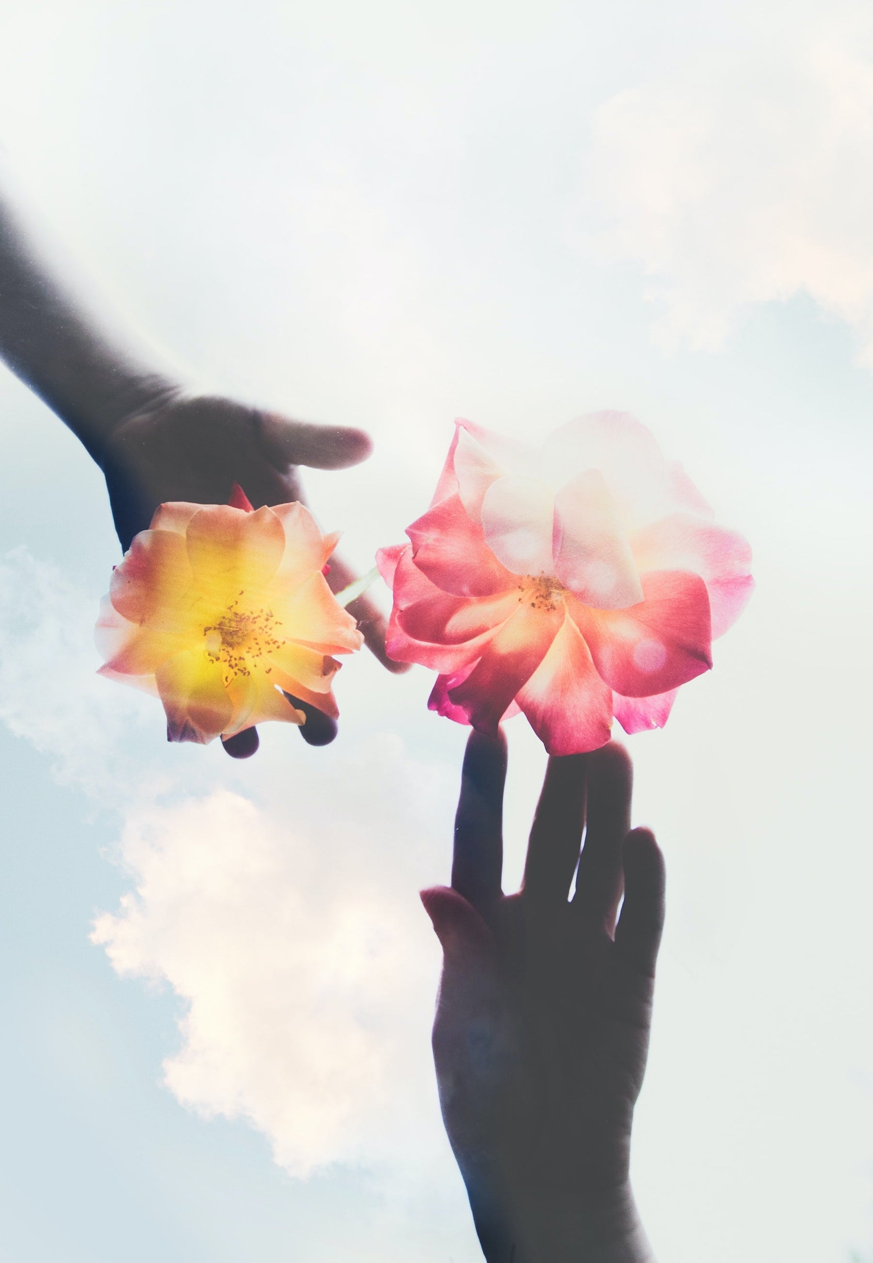 Trying to Conceive — two hands cradling a posy of wildflowers