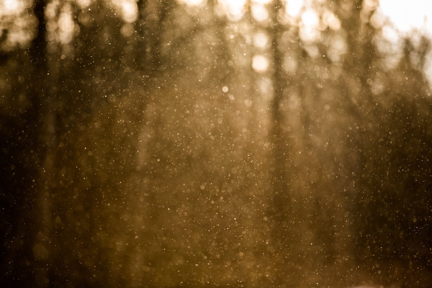 Room Sprays — backlit atomized mist in side light